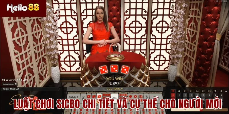 Tài Xỉu 2 Luật chơi Sicbo chi tiết và cụ thể cho người mới